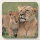 Search for reserve coasters Savannah