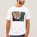 Search for australia zoo tshirts Bear