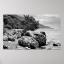 Search for loch ness monster posters Nessie