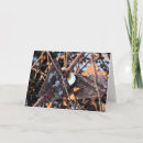 Search for junk cards Rusty