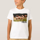 Search for flamingo kids tshirts Birds