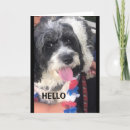 Search for fabulous friend birthday cards 50th