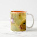Search for animal images mugs Cute animals