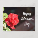 Search for feb 14th postcards Valentine's
