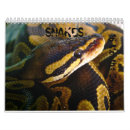 Search for snake calendars Cobra