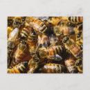 Search for hive postcards Insects