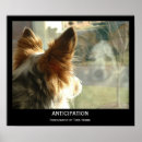 Search for anticipate Puppy