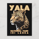 Search for sri lanka postcards Wildlife