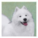 Search for samoyed art White
