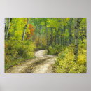 Search for aspen posters Autumn