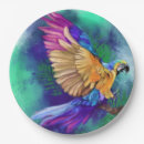 Search for parrot plates Exotic