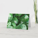 Search for heart leaf cards Botanical