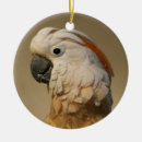 Search for parrot christmas tree decorations Cockatoo