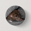 Search for pet rat badges Rodent
