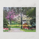 Search for tulip tree postcards Floral