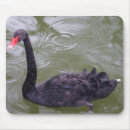 Search for zazzles best mousepads Black