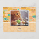 Search for do it all postcards I can has cheezburger