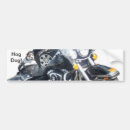 Search for hogs bumper stickers Hog dog