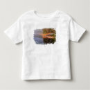 Search for foggy tshirts Canoe