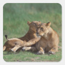 Search for kenya lion stickers Outdoors