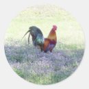 Search for chicken hen bird stickers Hens