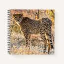 Search for cheetah notebooks Wild animal