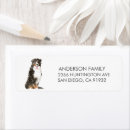 Search for mountain dog return address labels Dogs