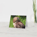 Search for thai cards Hawk