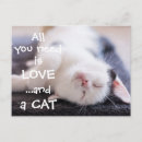 Search for need love postcards Cat