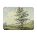 Search for tre magnets Landscape