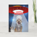 Search for space cat cards Humour