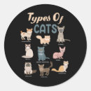 Search for maine coon cat stickers Pet
