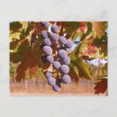 Search for celiac postcards Disease