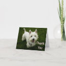 Search for westie cards Thinking of you