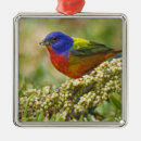 Search for migrator christmas tree decorations Migration