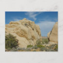 Search for climbing tree postcards Nature