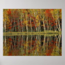 Search for fall foliage posters Season