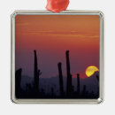 Search for tucson christmas tree decorations Travel