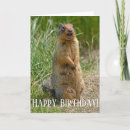 Search for gopher Animal