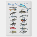 Search for salt rectangular magnets Wildlife