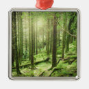 Search for in forest christmas tree decorations Woodland