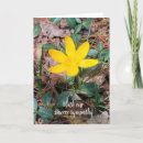 Search for crocus cards Botanical