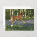 Search for morgan postcards Bob langrish