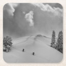 Search for ski coasters Aspen