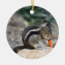 Search for chipmunk christmas tree decorations Nature