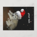 Search for siberian husky christmas cards Puppy