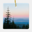 Search for sunrise christmas tree decorations Trees
