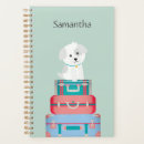 Search for dog planners Illustration