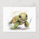Search for tortoise postcards Ocean