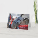 Search for mule cards White